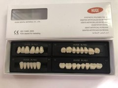 HUGE KAILI Synthetic Polymer False Teeth 1 Full Set of 28 Teeth Size T6-L6-32