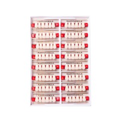 Dental Acrylic Resin Tooth Denture False Teeth Upper Anterior Lower 6Set*16Pc