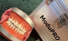 ModuPRO Dental Hygiene Plus Typodont Practice Model Jaw Dentistry MP-DH520_O