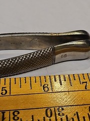 Silco Stainless Steel Dental Forceps #65