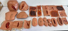 Traumatic Wound Simulation Lot Of 27 For Education Medical Plastics Laboratory