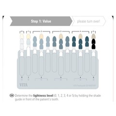 Vita Toothguide 3d-Master With Bleached Shades