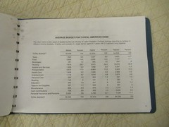 Dome Simplified Home Budget Book (Vintage)