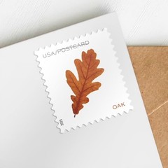United States Postal Service Vibrant Leaves 2025 Postcard Rate 2 Sheets Of 20