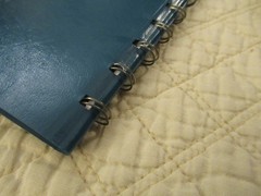 Dome Simplified Home Budget Book (Vintage)
