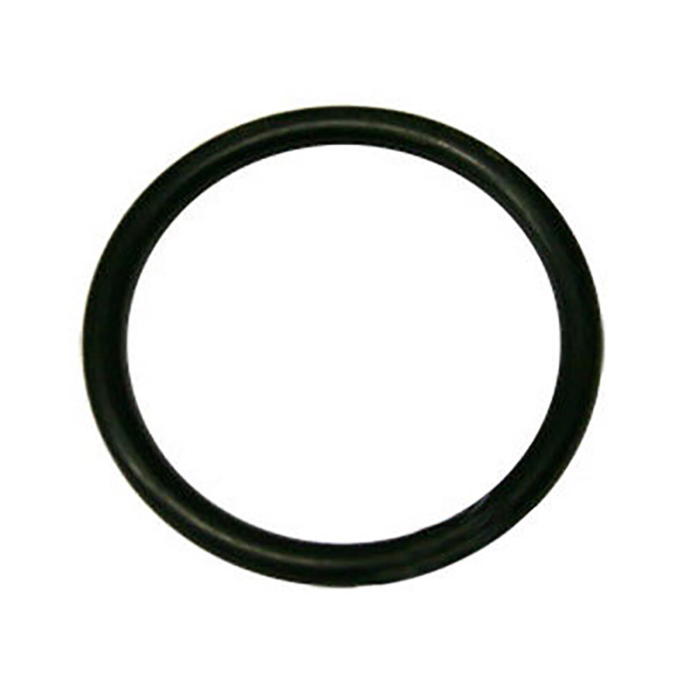 O-Ring Only (For Hydraulic Lift Piston) Fits Golden Jubilee Jubilee NAA NAB N