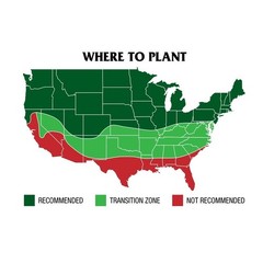 Pure Grass Seed Kentucky Bluegrass Blend 7 Lb 7000SqFt 14-28 Days Germinate