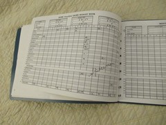 Dome Simplified Home Budget Book (Vintage)
