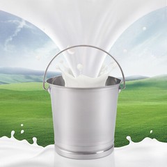 Stainless Steel Milk Pail Bucket with Lid Handle 8.5 Qt Milk Pail Stainless