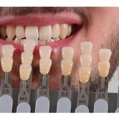 THE ORIGINAL VITA 3D MASTER AUTHENTIC TOOTH SHADEGUIDE with Dental BLEACH SHADES
