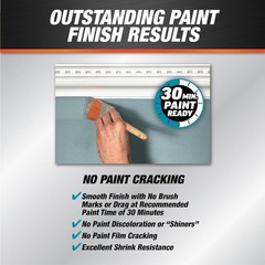DAP Alex Plus White Acrylic Latex Silicone Caulk 10.1oz Interior Exterior