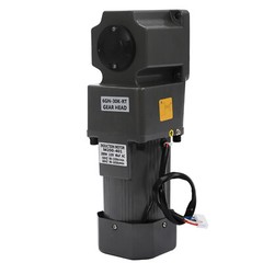 AC Gear Motor Speed Reduction Ratio 1:30 High Torque Speed Reduction Motor 45RPM