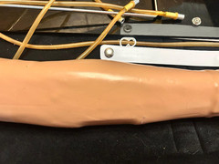Gaumard Right Handed Training Arm Manikin