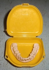 Plaster Lower Jaw Denture Cast for False Teeth Prop Creepy Decor