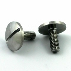 Slotted Round Large Domed Head Screws Select Select Size