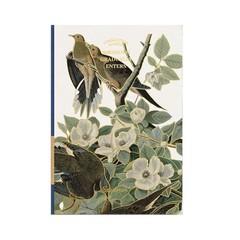 Set of 4 Vintage Bird Hardcover A5 Blank Notebooks Journal Sketchbook 288 Pages