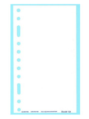 EZ Record brand – Item No.134 Blank forms- 6 1/2″ X 3 7/8″- 50 sheets per pack.