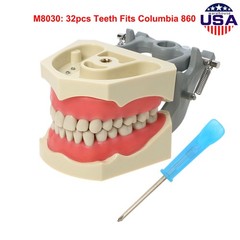 US Dental Overdenture/Implant/Orthodontic Typodont Ortho Training Teaching Model