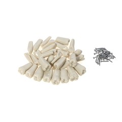 US Columbia Dentoform 860 Type Dental Typodont Model 32pcs Removable Teeth