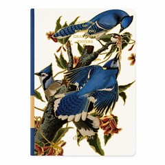 Set of 4 Vintage Bird Hardcover A5 Blank Notebooks Journal Sketchbook 288 Pages