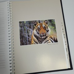 New: Images of Nature Address Book, Featuring Photos by Thomas Mangelsen