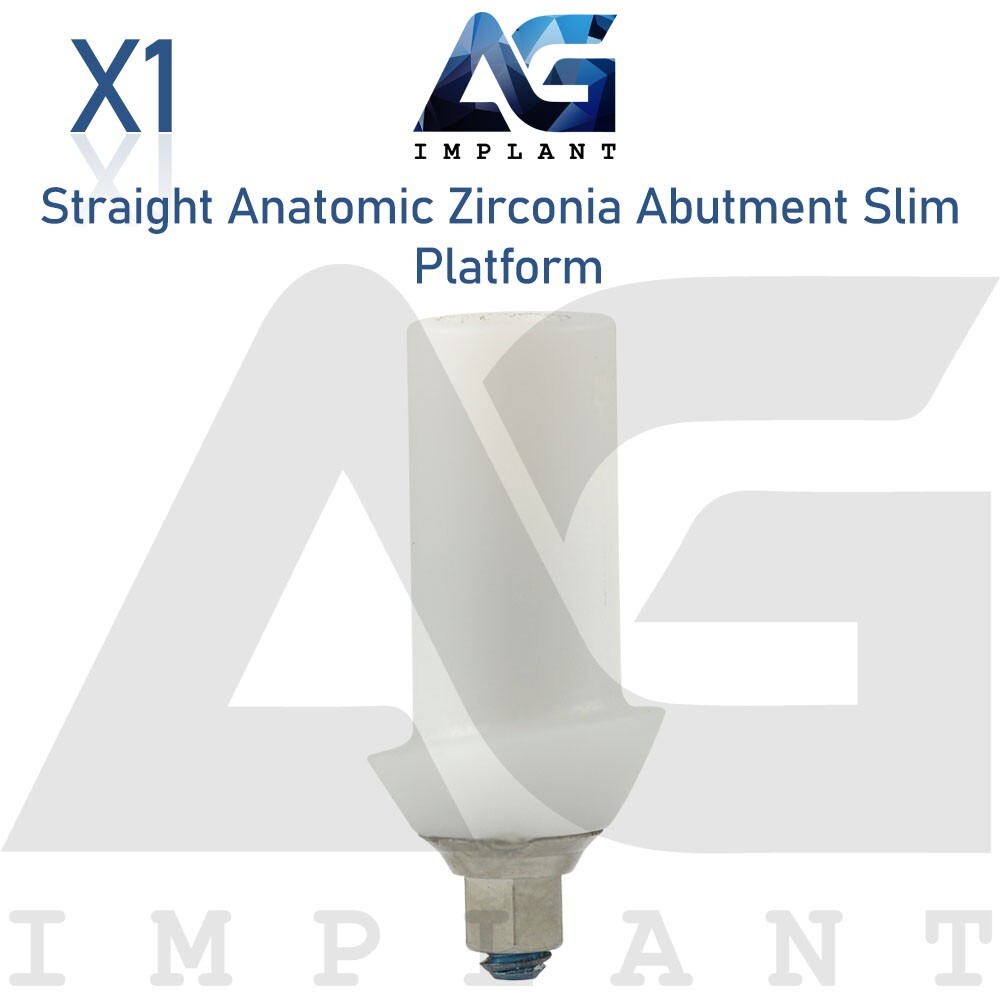 Zirconia Straight Anatomic Prosthetic Slim Titanium Base Hexagon 2.0mm
