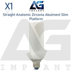 Zirconia Straight Anatomic Prosthetic Slim Titanium Base Hexagon 2.0mm