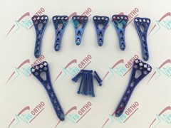 2.7mm LCP Variable Angle Distäl Radius Volar plate L/R 3Holes & Screw 81 pcs set