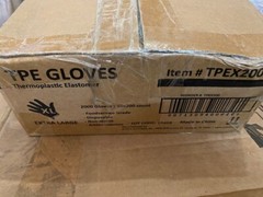 Case of 2,000 Food Service Gloves, X-Large Size