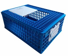3x BLUE CHICKEN TRANSPORT 4H SHOW CAGE COOP CRATE CHICKEN QUAIL PIGEONS 3 DOOR