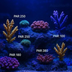 AH-Reef PAR Meter,Test PPFD,UVA w/m²,Waterproof Sensor,Show R,G,B% in Aquarium L