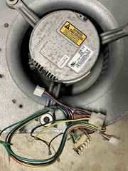 Carrier Infinity 3 Ton Indoor Fan Motor Exam 3.0