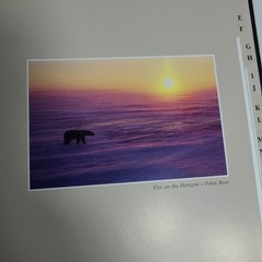 New: Images of Nature Address Book, Featuring Photos by Thomas Mangelsen