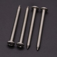 10 x 2-1/2 40 Pack Stainless Steel Phillips Pan Head Wood Screws, Stainless