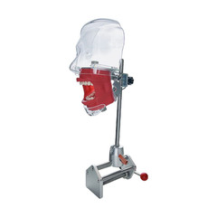 Simple Head Model Dental Simulator Phantom Manikin with Teeth for Dentist Teach