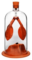 ?Lung Function Demonstration Model, 13 Inch – Rubber & Plastic?- Eisco Labs