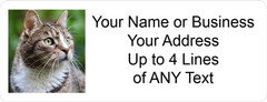 60 Personalized Address Labels with Your Pet Photo Custom Stickers Tag Free Ship