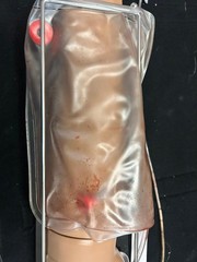 Gaumard Right Handed Training Arm Manikin