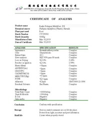 Phenylpiracetam Powder, Purity 99.9+%, 5 Grams