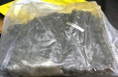 One Flexon Ecoplus 60-1 Roller Chain 9 FT w Connecting Link B62610535 NEW
