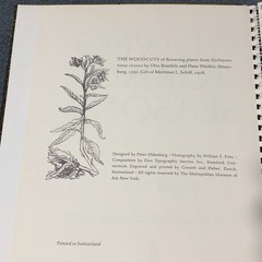 MMA Flowers for All Seasons Address Book Floral Art work