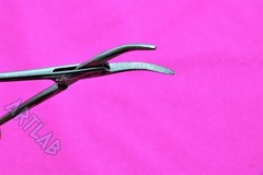 10 PC MOSQUITO HEMOSTAT FORCEPS 5″ CURVED STAINLESS STEEL SURGICAL MEDICAL