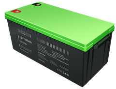 200Ah LiFePO4 Deep Cycle Maintenance Free Home Energy Storage Battery US lot