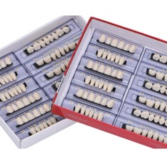 168Pcs/Box Acrylic Resin Denture #24 Dental Upper Lower Shade A2 Teeth Set USA