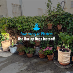 (25) 22×36 Burlap Bags Wholesale Bulk – Sacks Potato Race Sandbags Planting