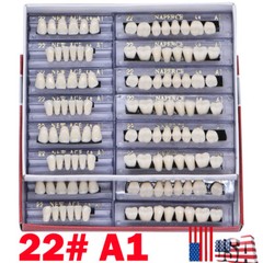 168Pcs Acrylic Resin Denture #22 Dental Upper Lower Shade A1 Teeth Set US