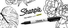 Permanent Markers, Ultra Fine Point, Black, 2 Count – Home, School, Office