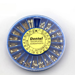120pcs/kit Dental Screw Post Completed Kit Silver/Gold Plated Endo Conical Pins
