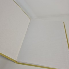 Vintage Federal Supply Service Record Book Set Of 2 Green Cloth Ruled Paper