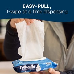XL Flushable Wet Wipes, Adult Wipes Large, 8 Flip-Top Packs, 45 Wipes Per Pac…